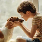 Köpeklerde Hamilelik: Doğum Kaç Ayda Olur?