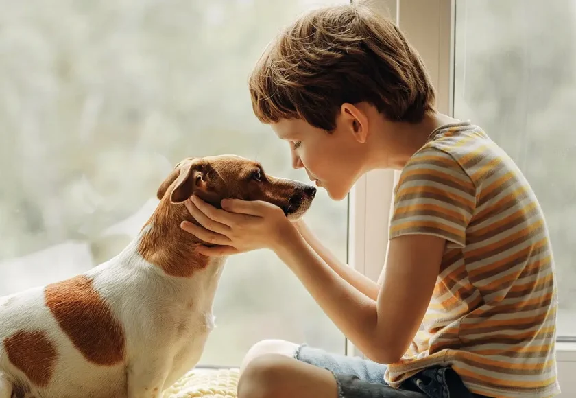 Köpeklerde Hamilelik: Doğum Kaç Ayda Olur?